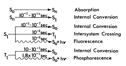 Figure 3c