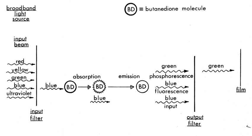 Figure 4a