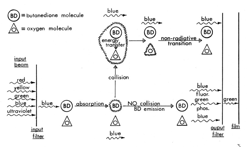 Figure 4c